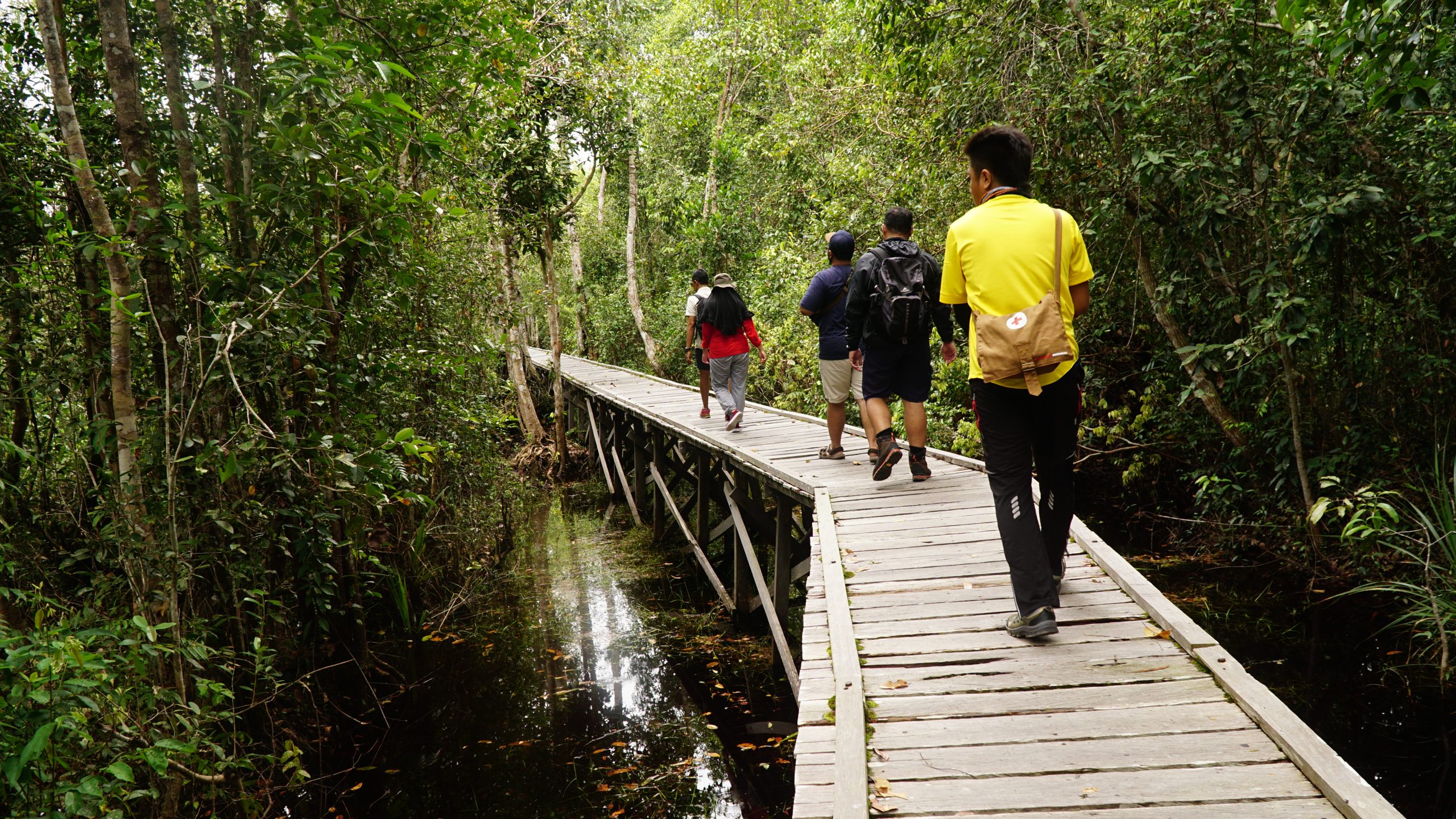 Jalan kaki di Borneo